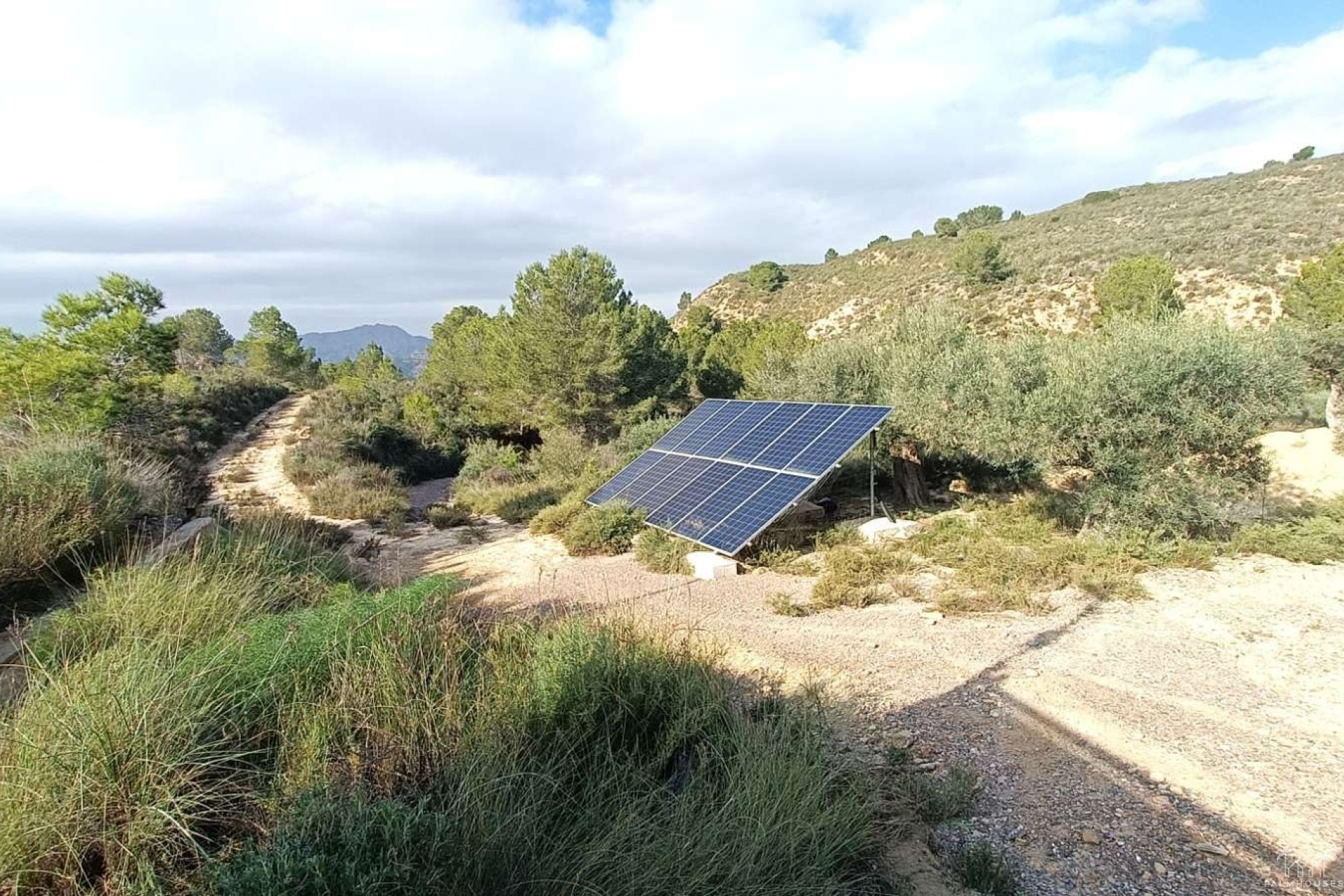Venta - Finca - Gea Y Truyols - Inland