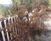 Venta - Finca - Gea Y Truyols - Inland