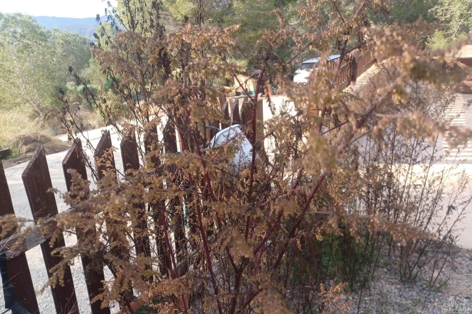 Venta - Finca - Gea Y Truyols - Inland