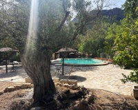 Venta - Finca - Gea Y Truyols - Inland