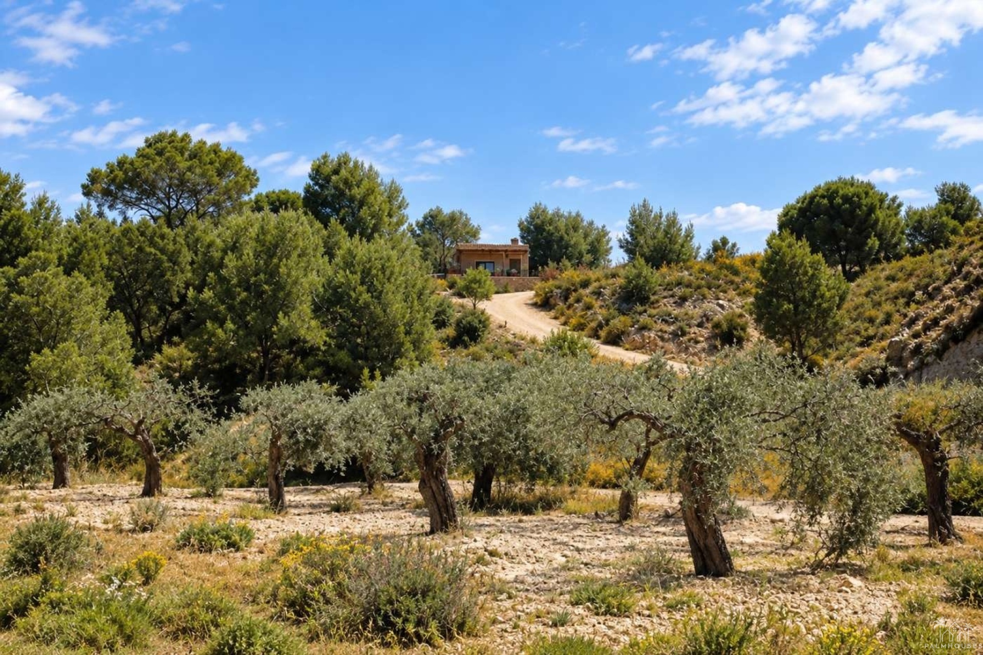 Venta - Finca - Gea Y Truyols - Inland