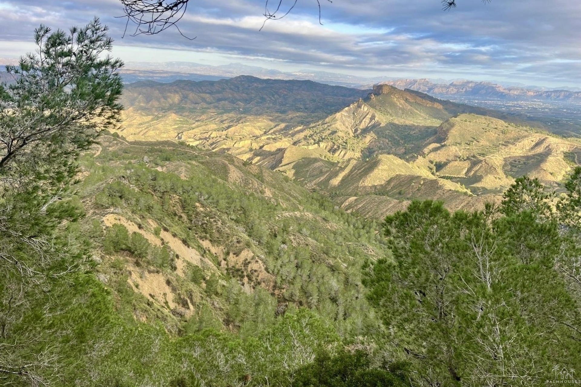 Venta - Finca - Gea Y Truyols - Sierra de Columbares Natural Park