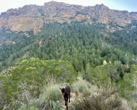 Venta - Finca - Gea Y Truyols - Sierra de Columbares Natural Park