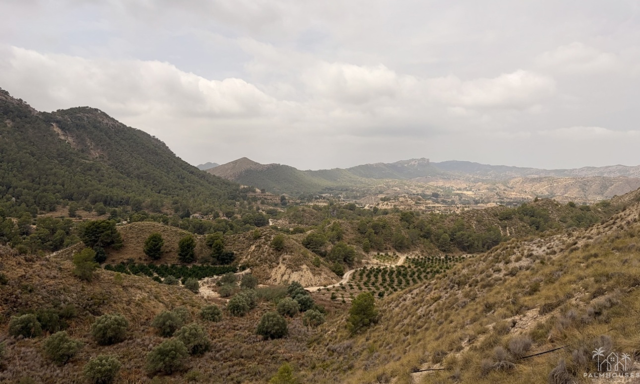 Venta - Finca - Gea Y Truyols - Sierra de Columbares Natural Park