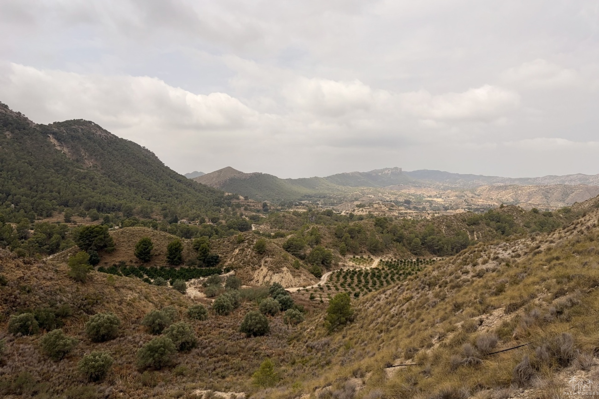 Venta - Finca - Gea Y Truyols - Sierra de Columbares Natural Park
