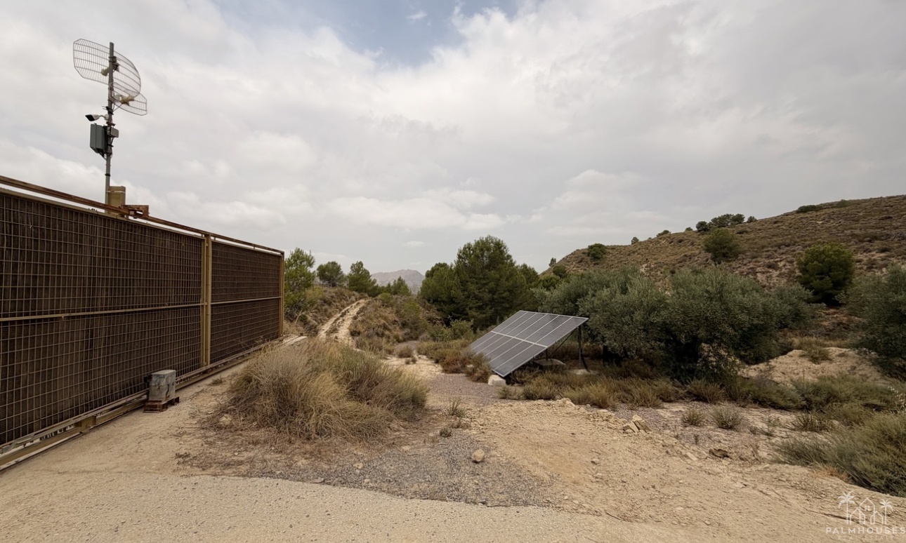 Venta - Finca - Gea Y Truyols - Sierra de Columbares Natural Park