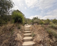 Venta - Finca - Gea Y Truyols - Sierra de Columbares Natural Park