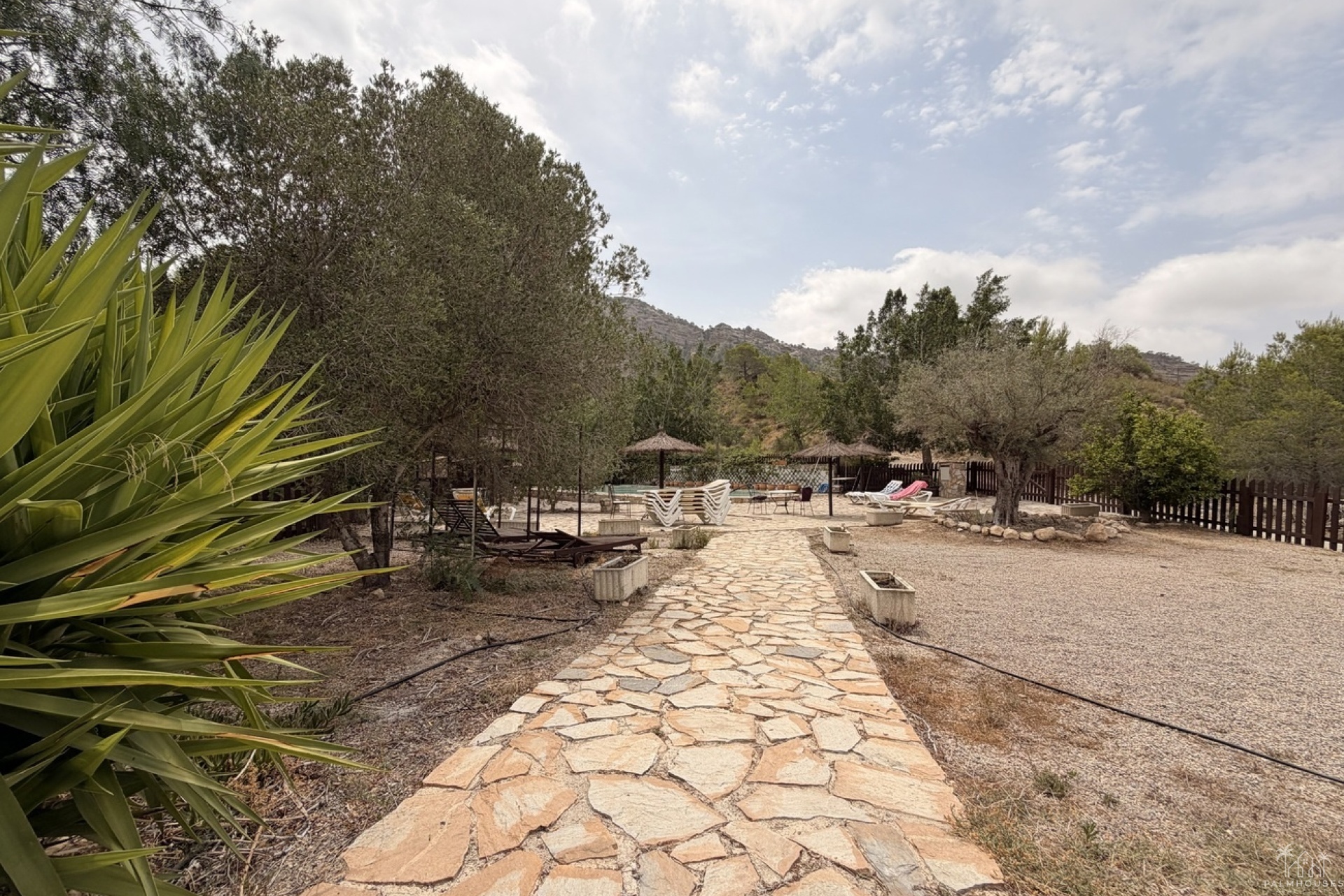 Venta - Finca - Gea Y Truyols - Sierra de Columbares Natural Park
