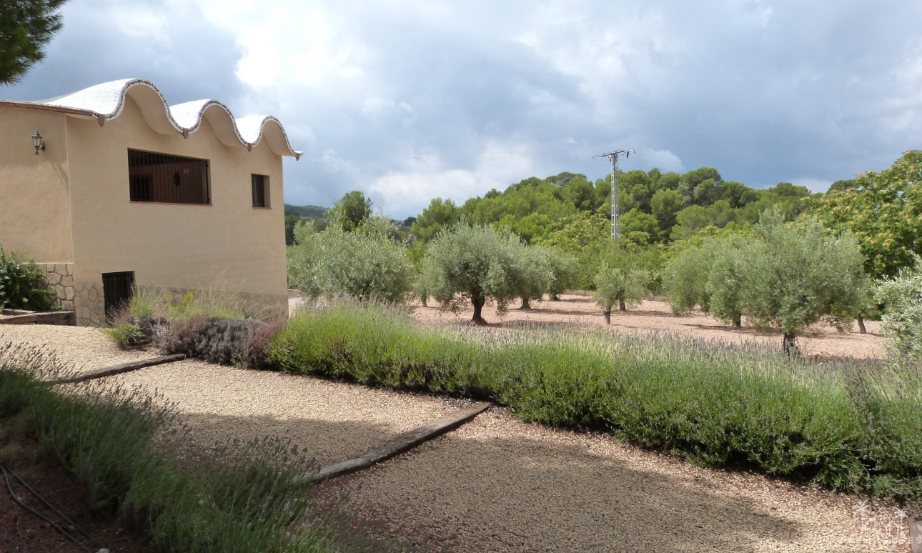 Venta - Finca - Ibi - Ibi - Country