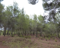 Venta - Finca - Ibi - Ibi - Country