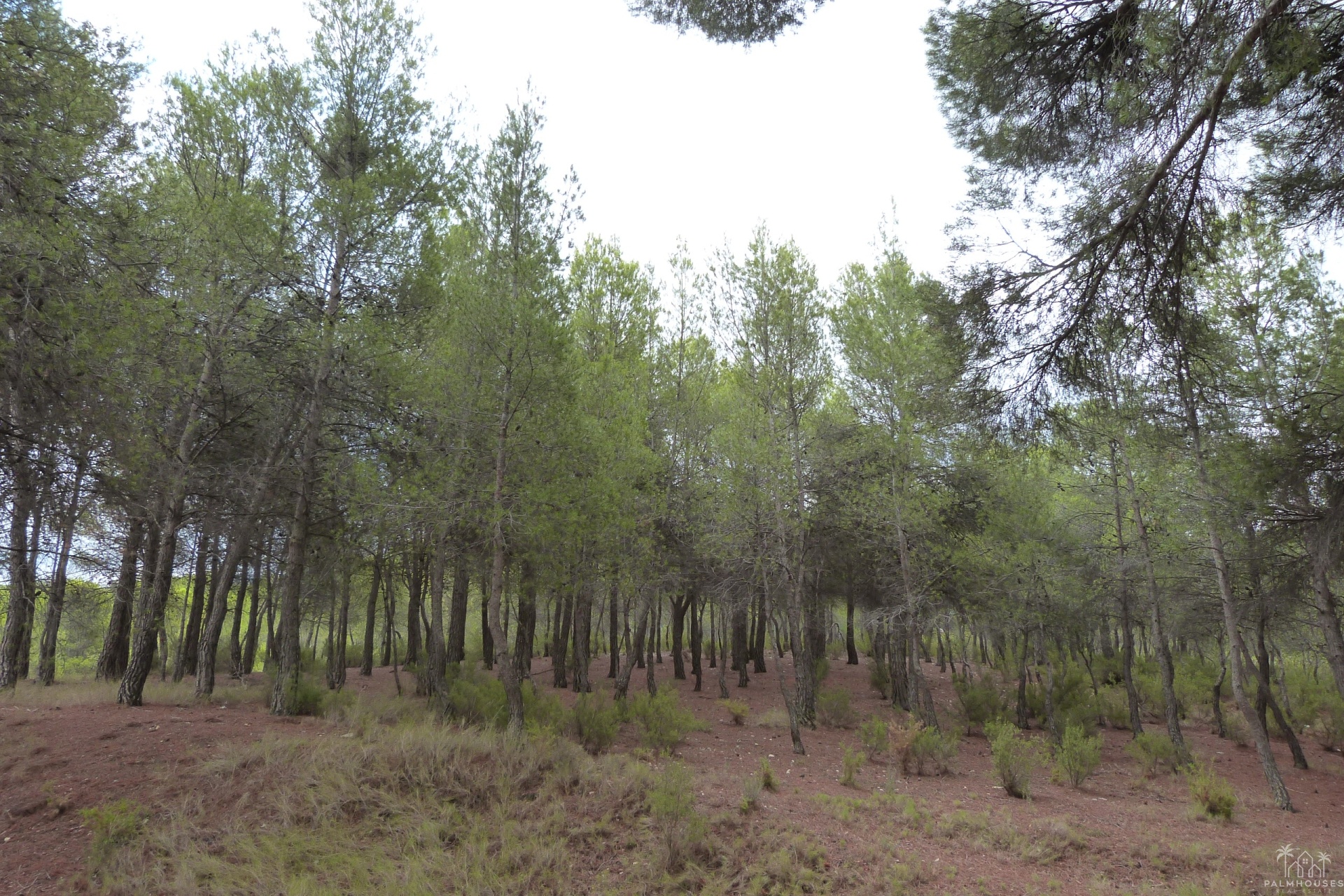 Venta - Finca - Ibi - Ibi - Country