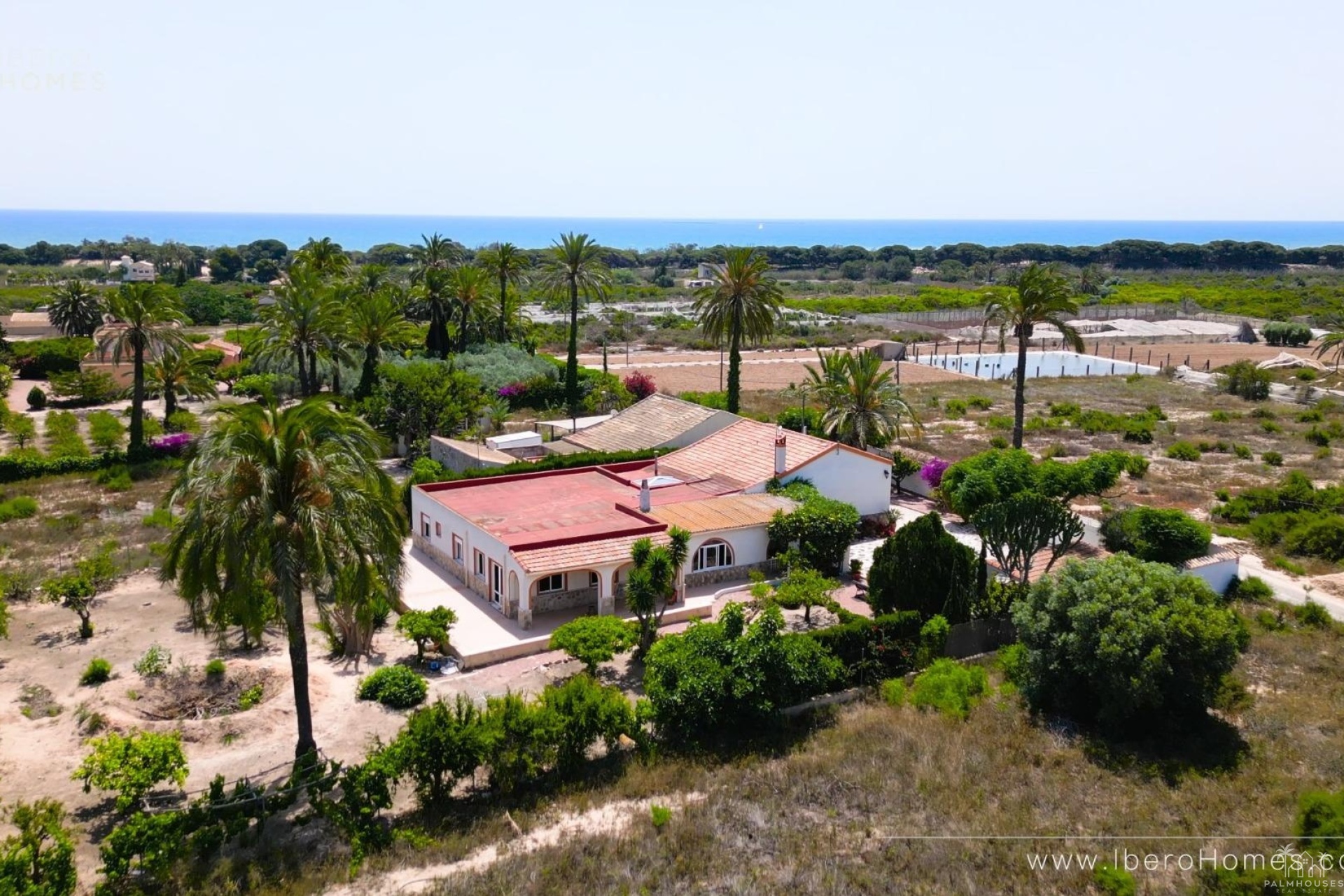 Venta - Finca - La Marina - Costa Blanca
