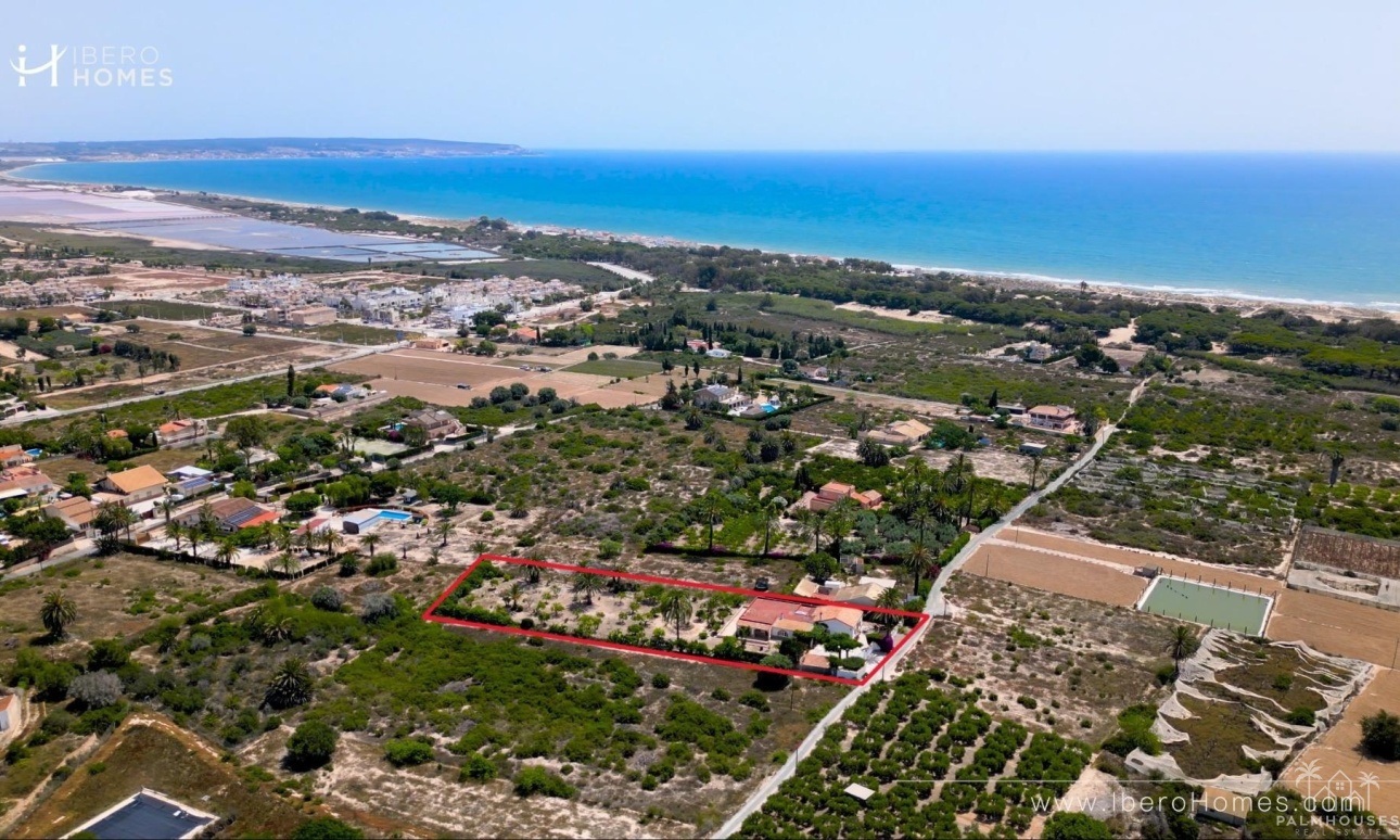 Venta - Finca - La Marina - Costa Blanca