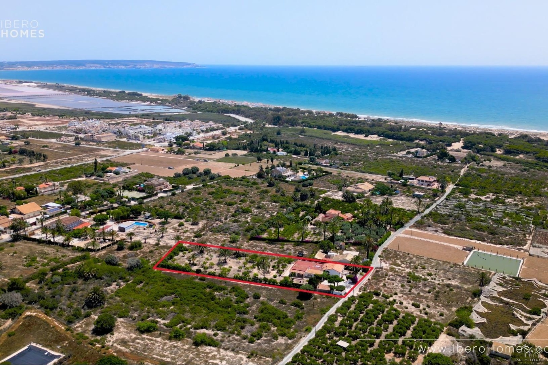 Venta - Finca - La Marina - Costa Blanca