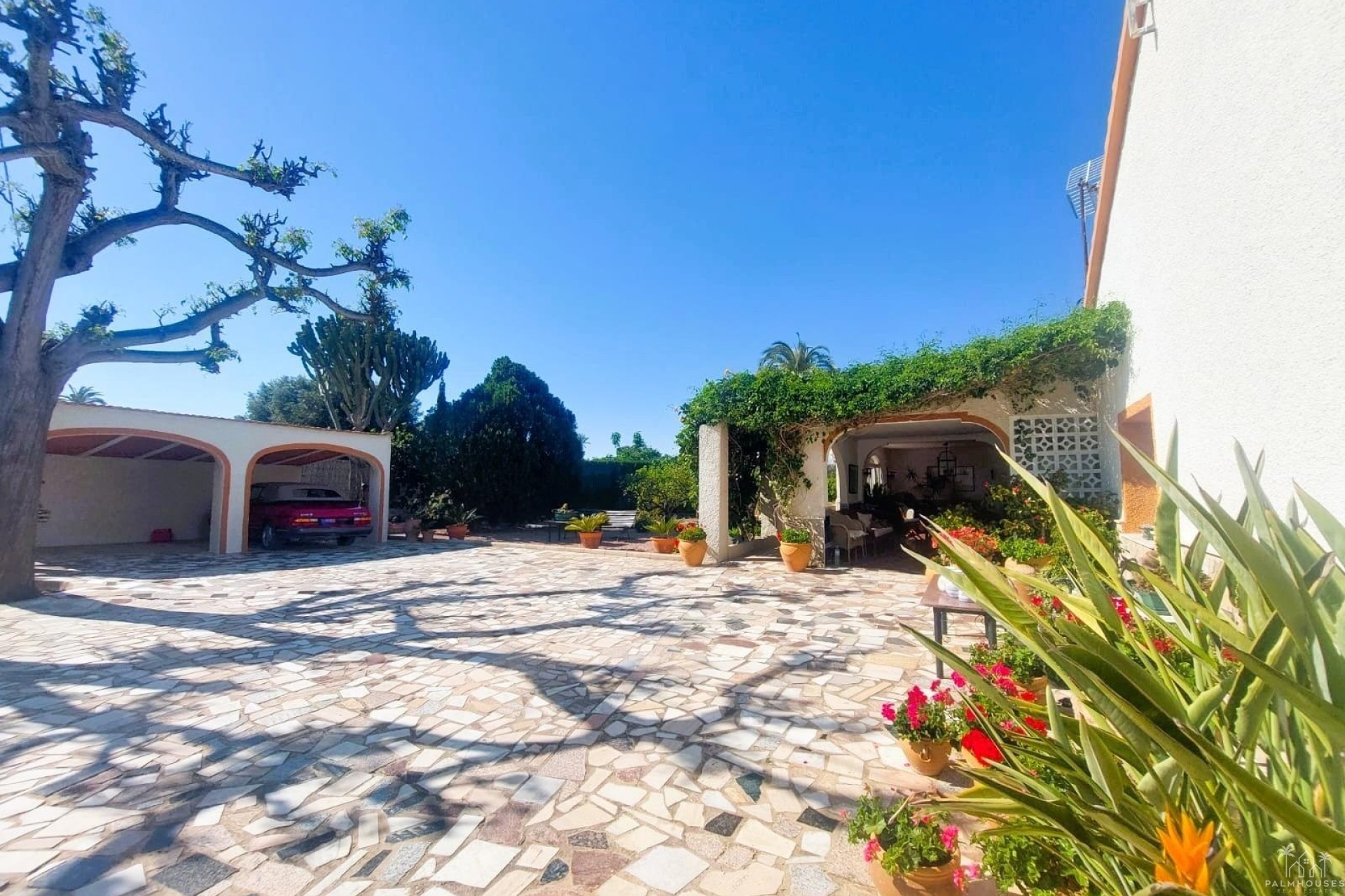 Venta - Finca - La Marina - Costa Blanca