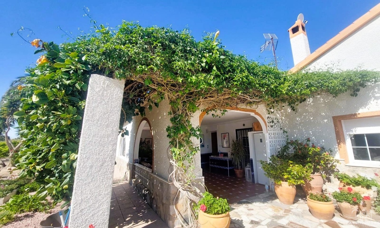 Venta - Finca - La Marina - Costa Blanca
