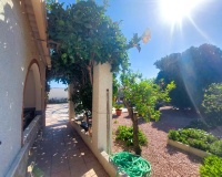 Venta - Finca - La Marina - Costa Blanca