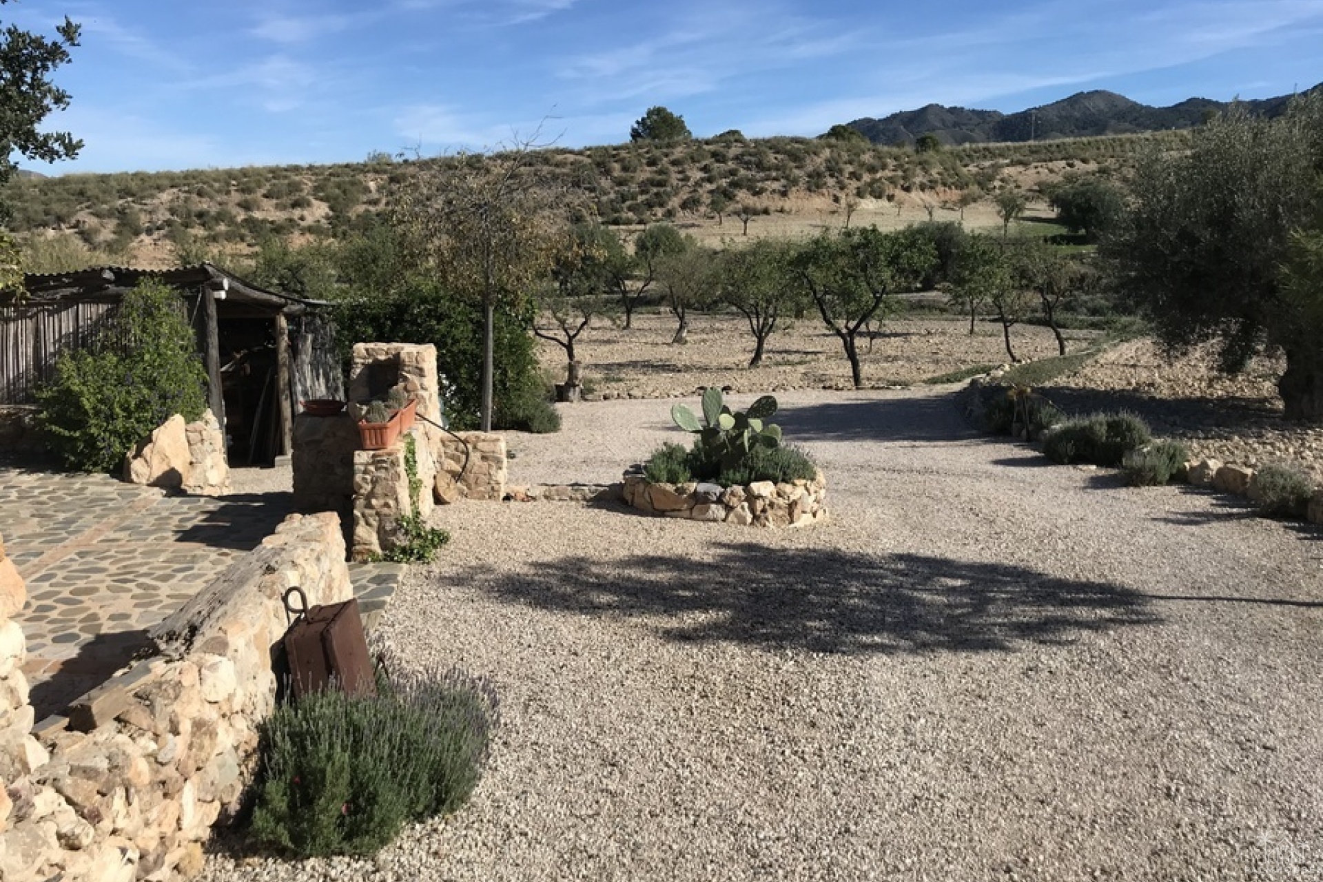 Venta - Finca - Lorca - Costa Calida