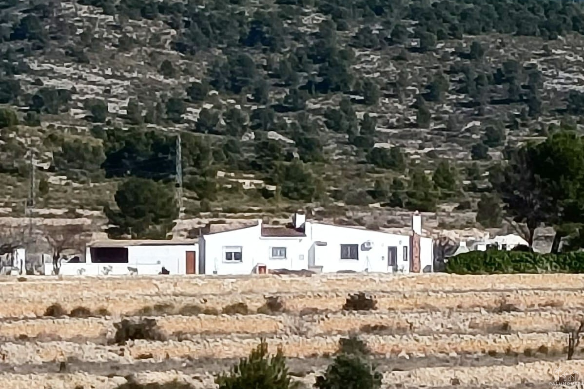 Venta - Finca - Monóvar/Monóver - Inland