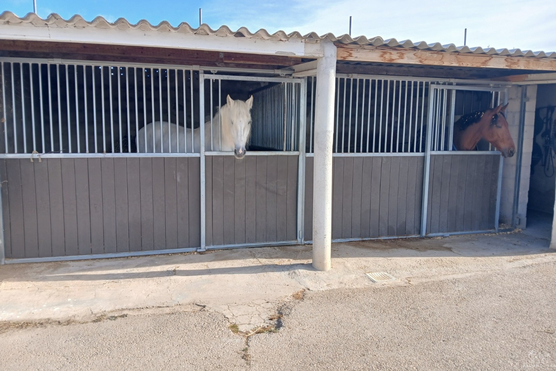 Venta - Finca - Monóvar/Monóver - Inland
