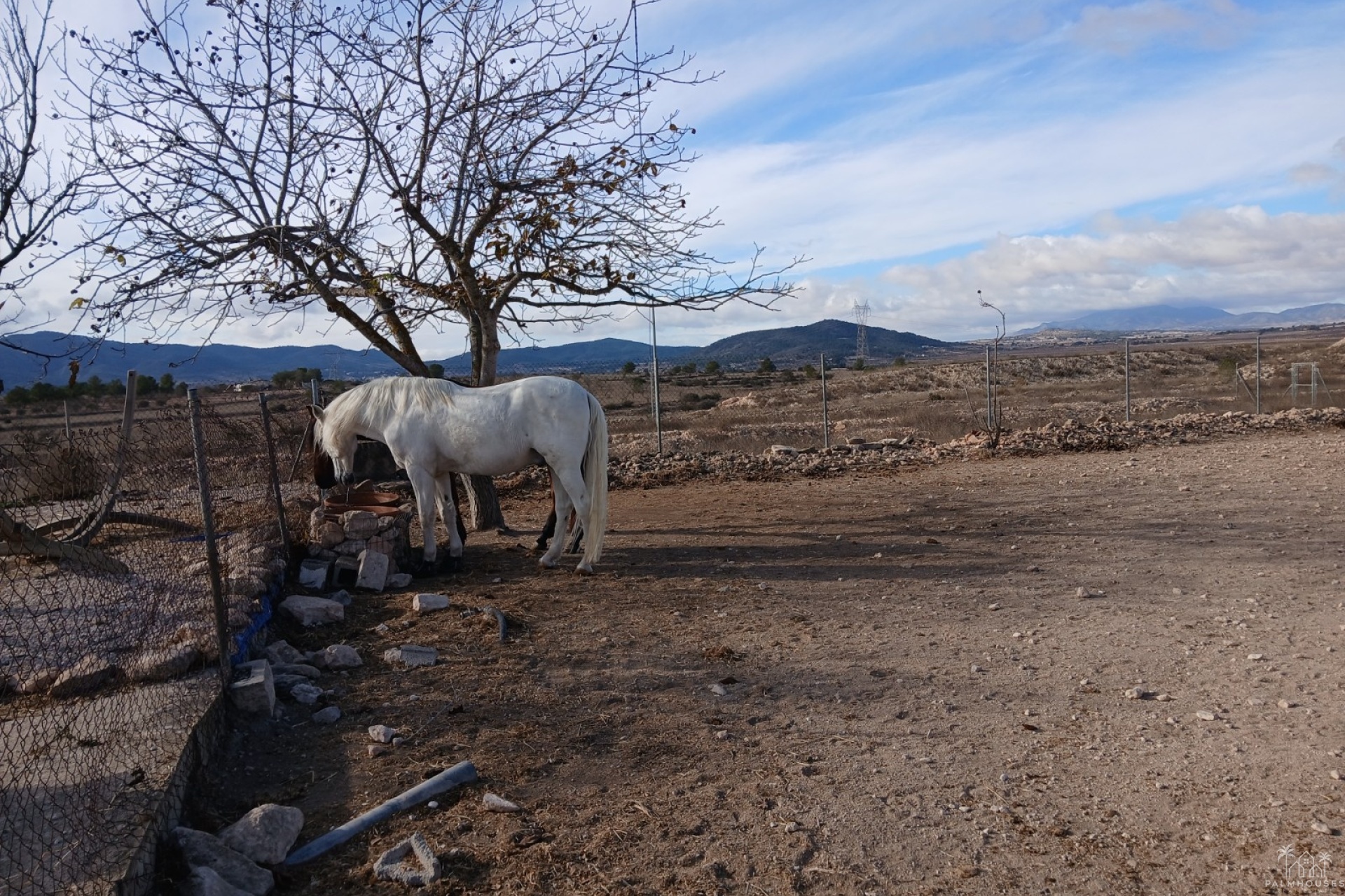 Venta - Finca - Monóvar/Monóver - Inland