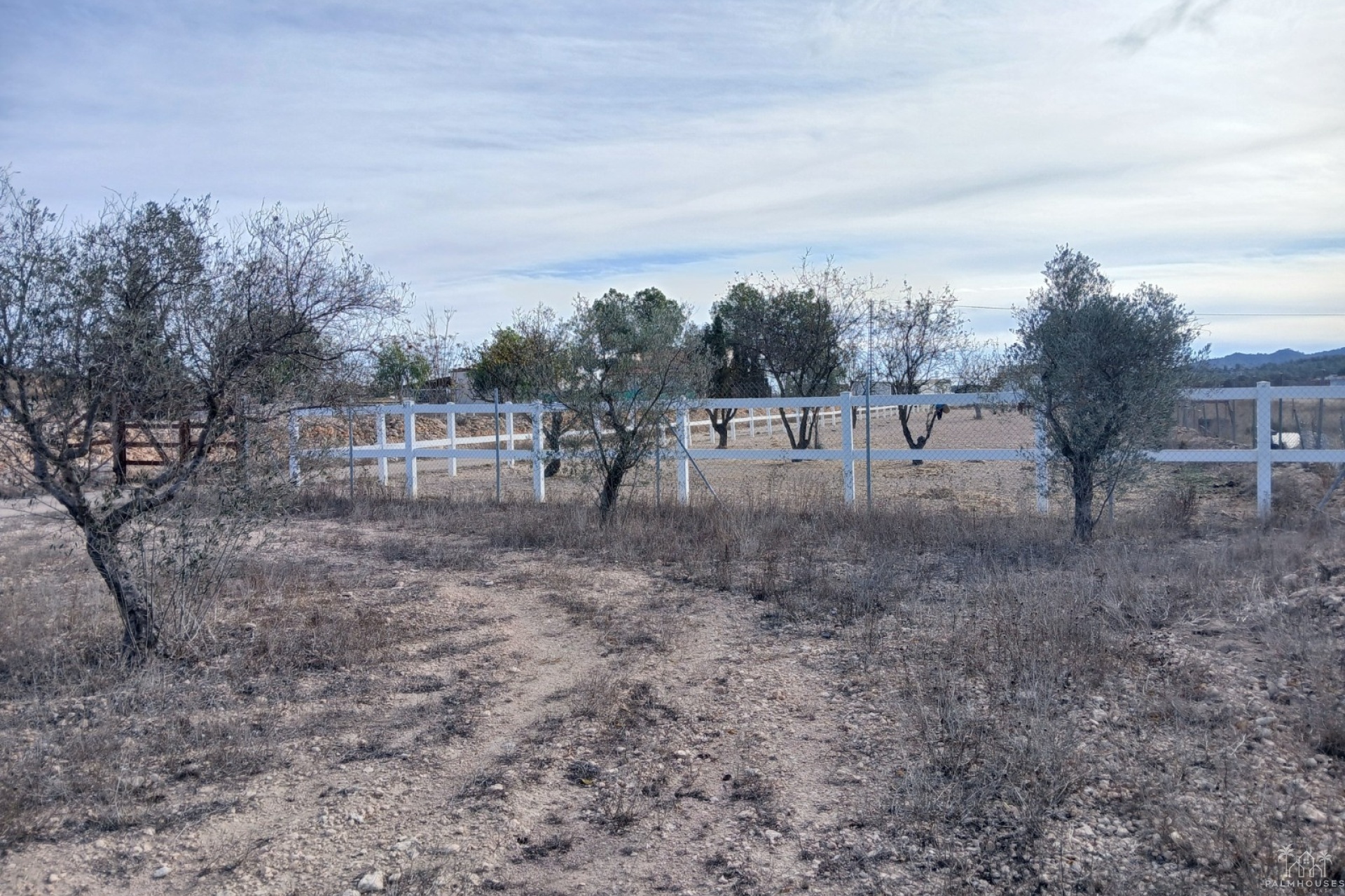 Venta - Finca - Monóvar/Monóver - Inland