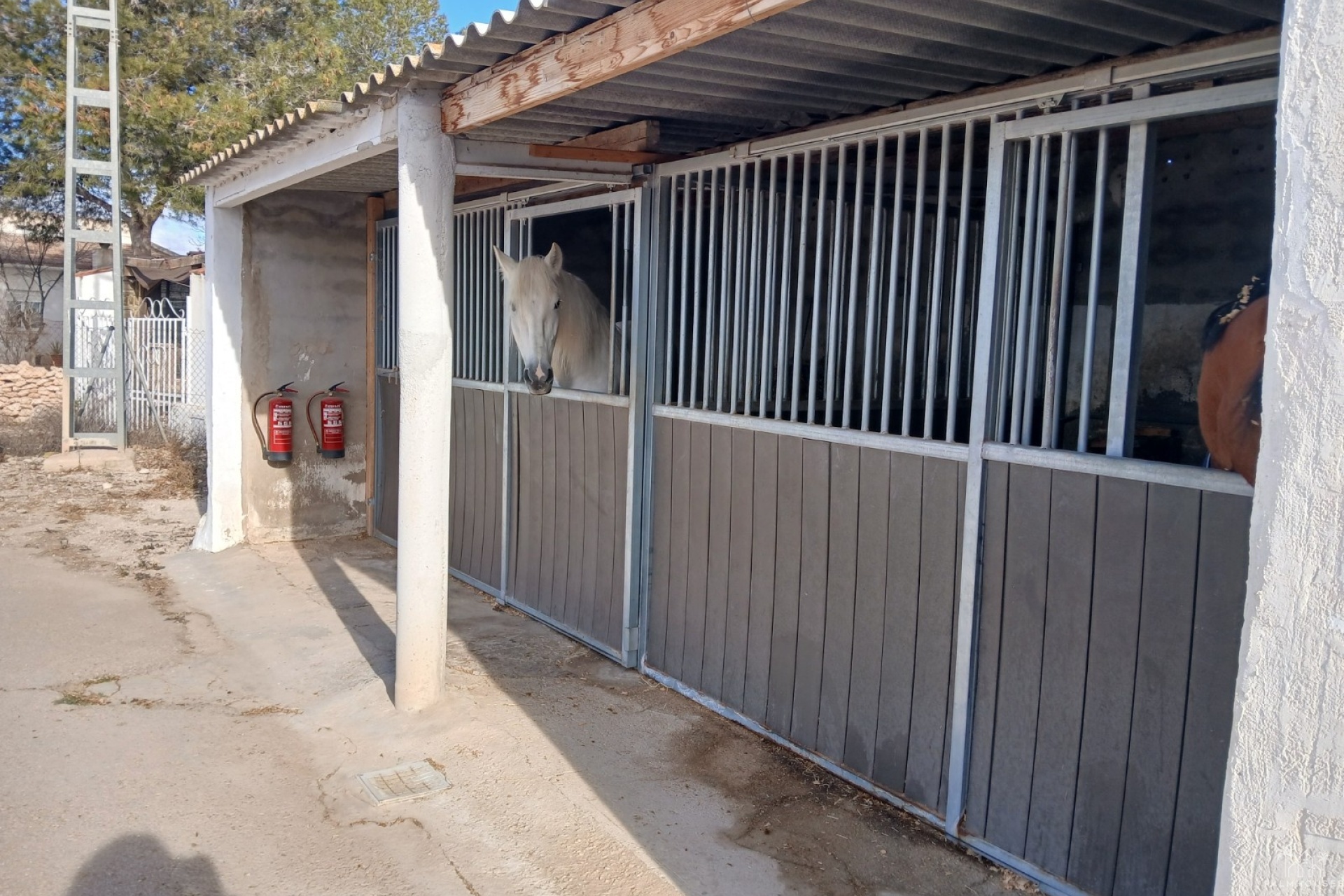 Venta - Finca - Monóvar/Monóver - Inland