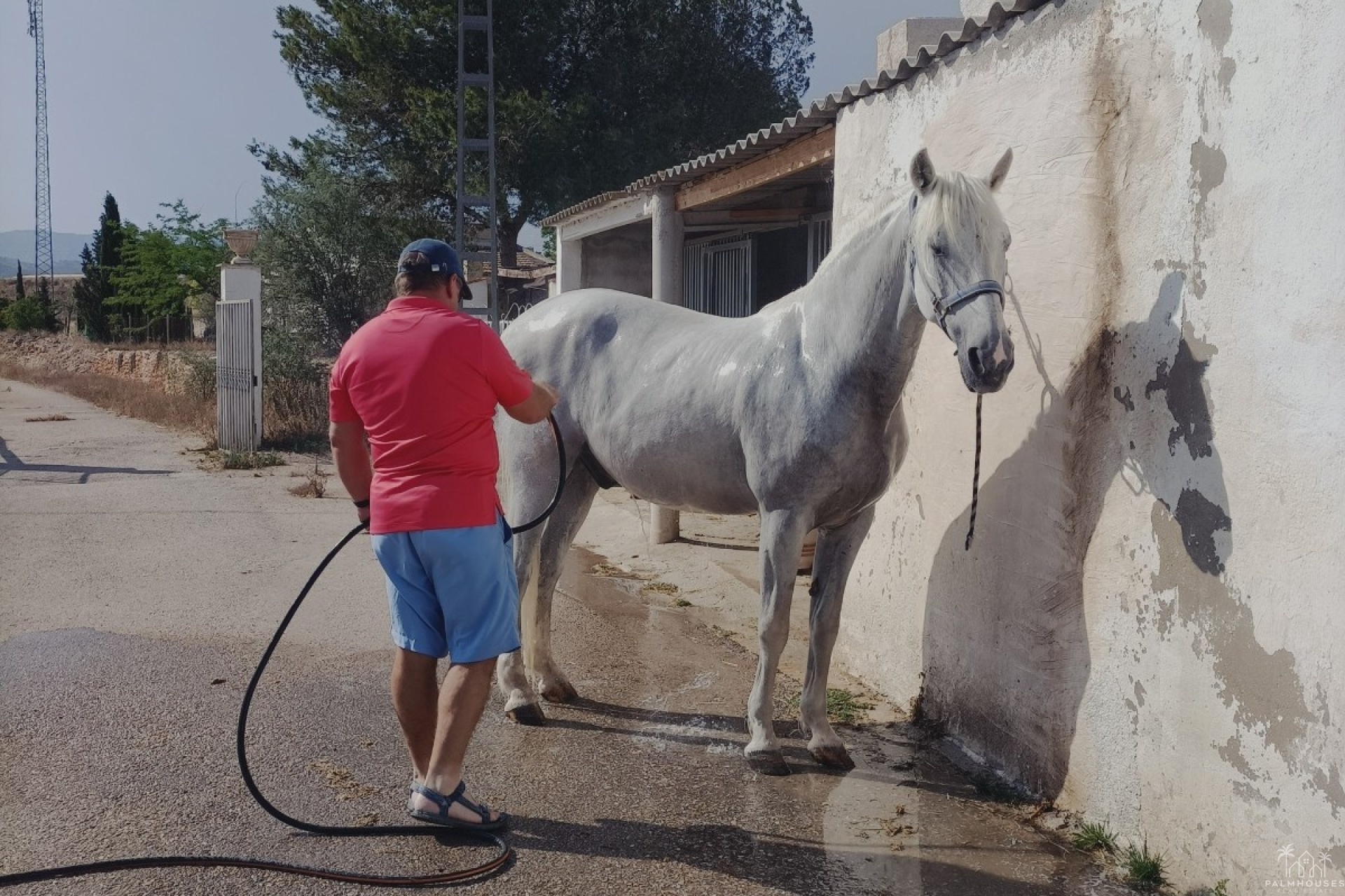 Venta - Finca - Monóvar/Monóver - Inland