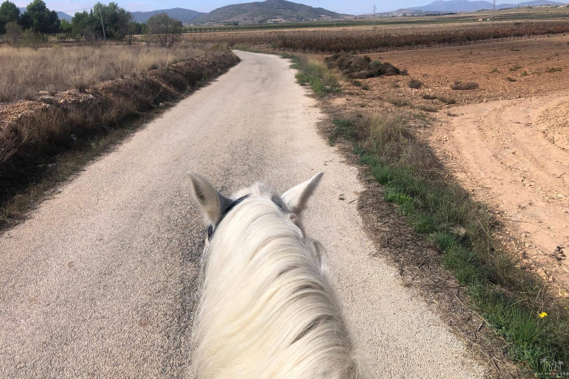 Venta - Finca - Monóvar/Monóver - Inland