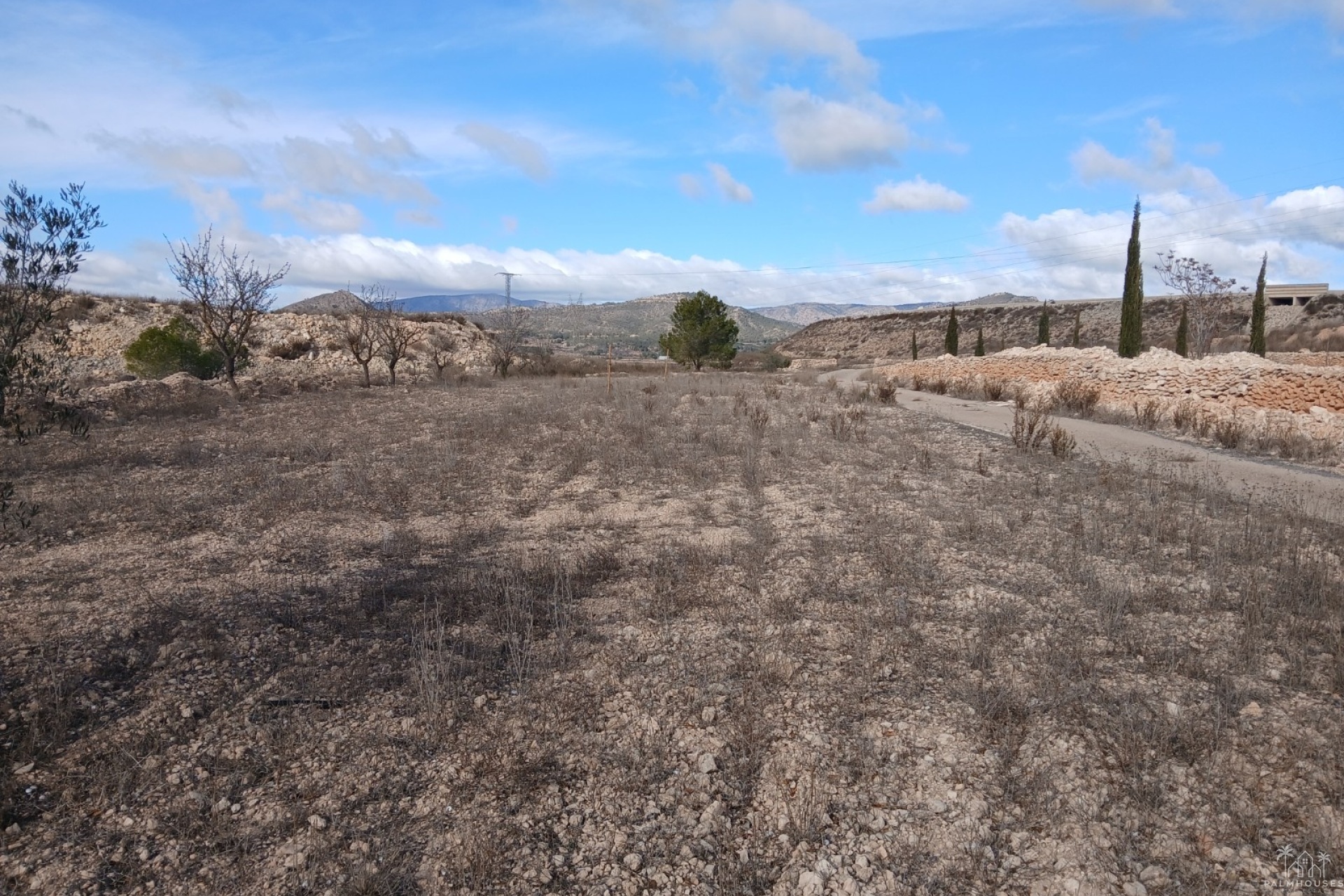 Venta - Finca - Monóvar/Monóver - Inland