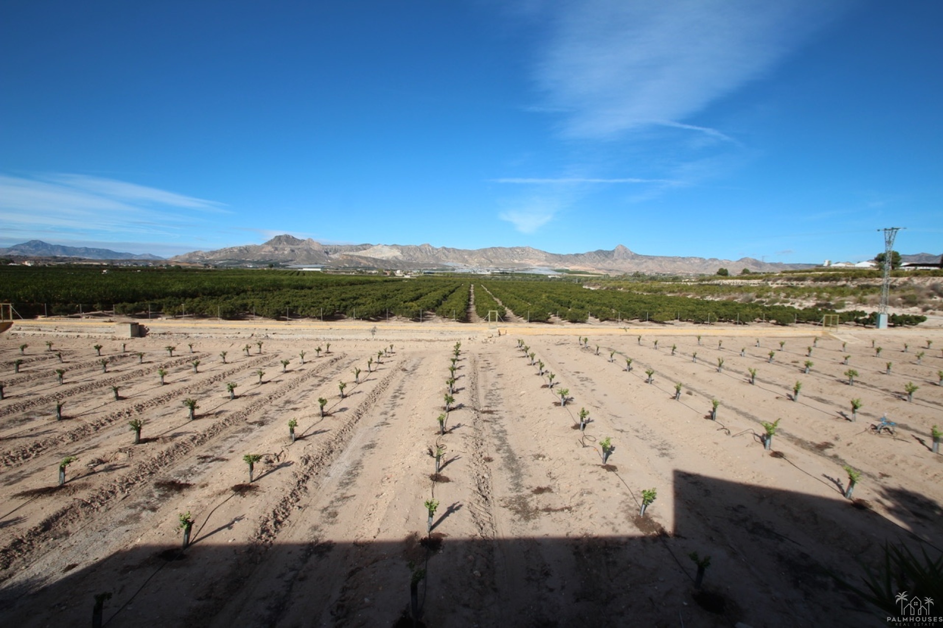 Venta - Finca - Murcia - Inland