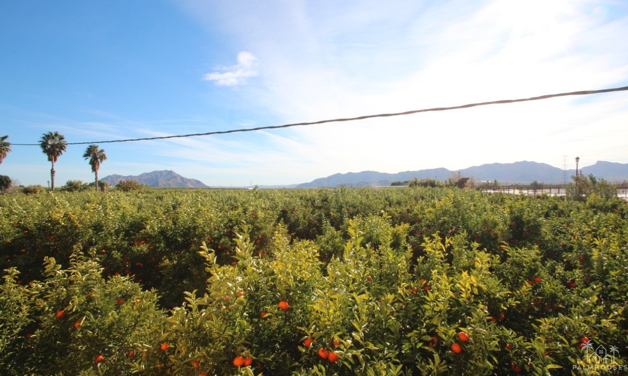 Venta - Finca - Murcia - Inland