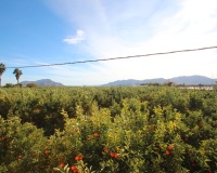 Venta - Finca - Murcia - Inland