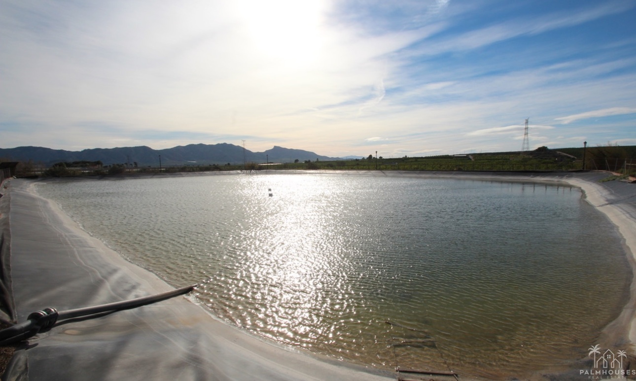 Venta - Finca - Murcia - Inland