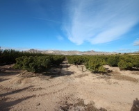 Venta - Finca - Murcia - Inland