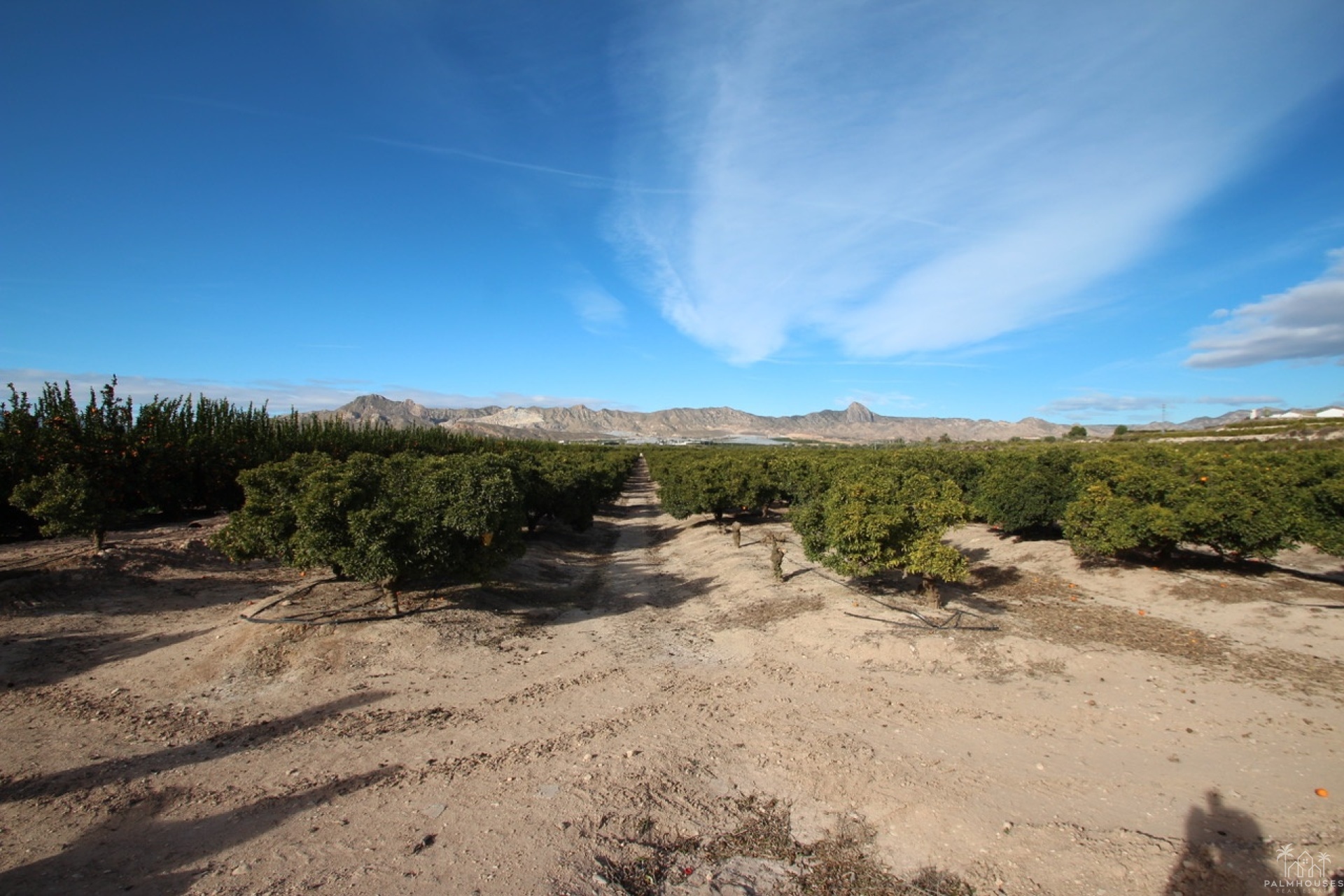 Venta - Finca - Murcia - Inland