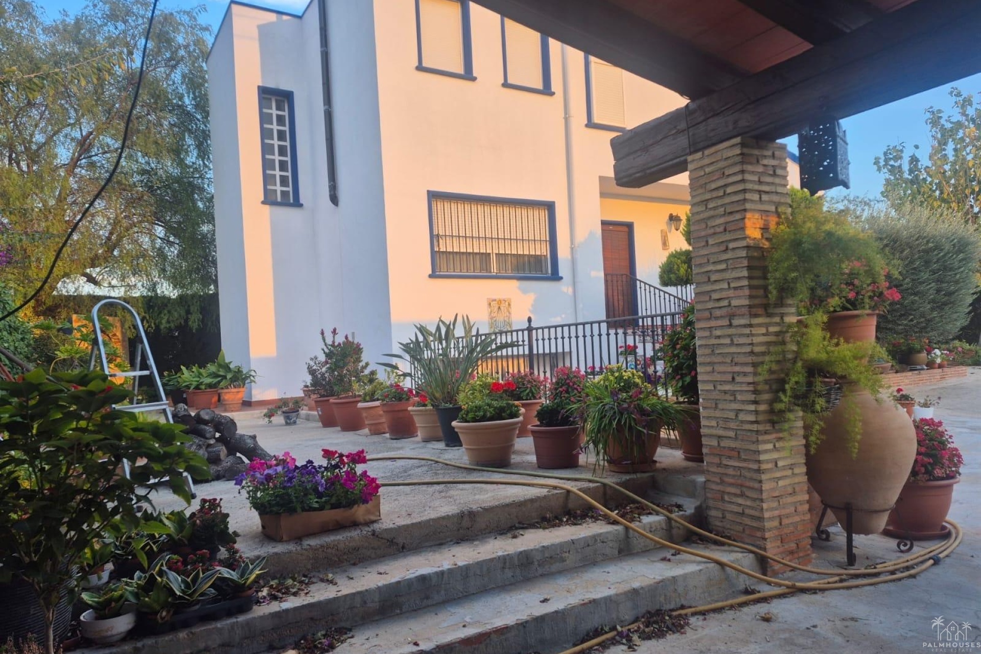 Venta - Finca - Orihuela - Casco Histórico