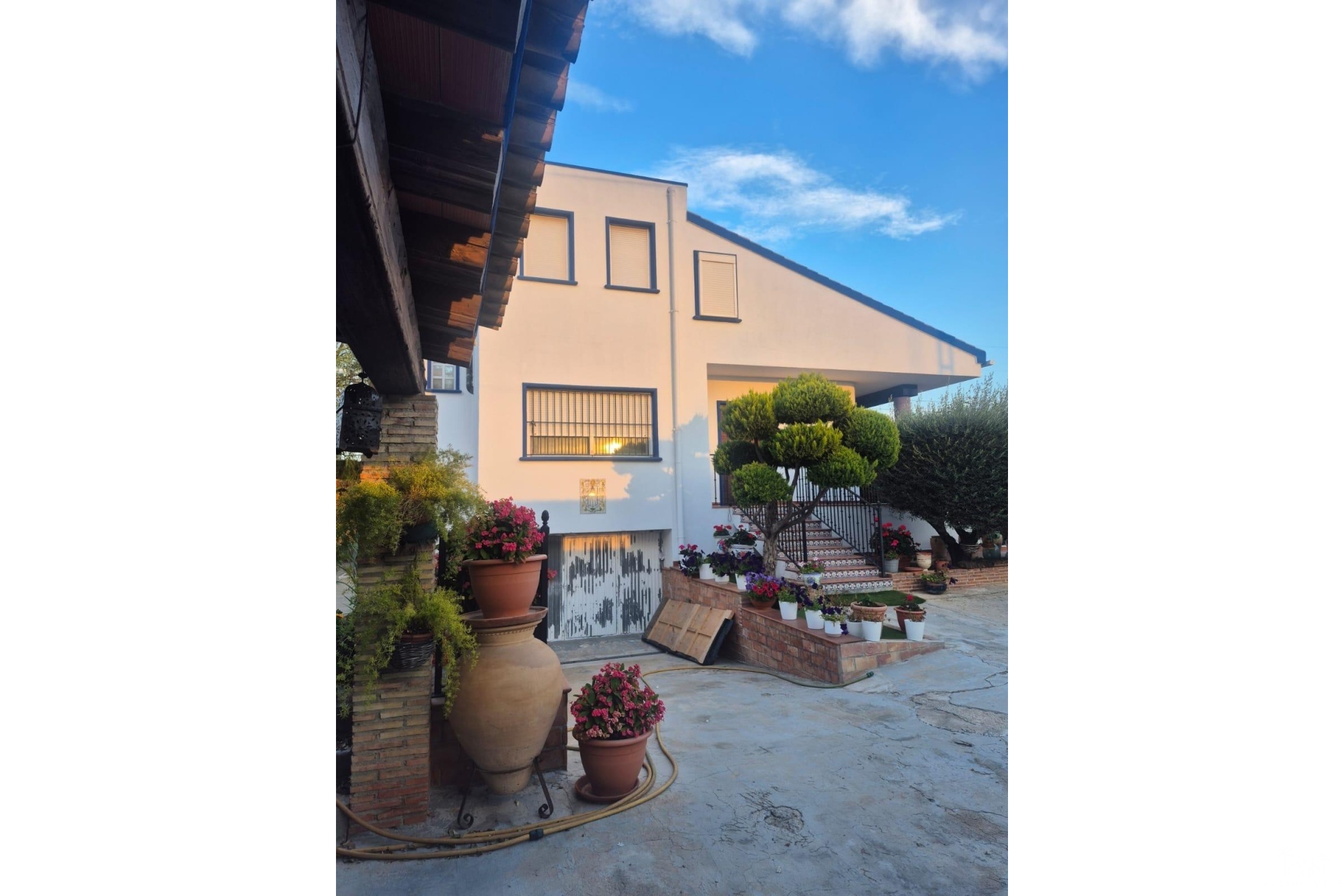 Venta - Finca - Orihuela - Casco Histórico
