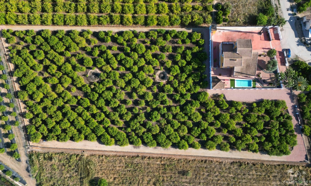 Venta - Finca - Orihuela - Inland