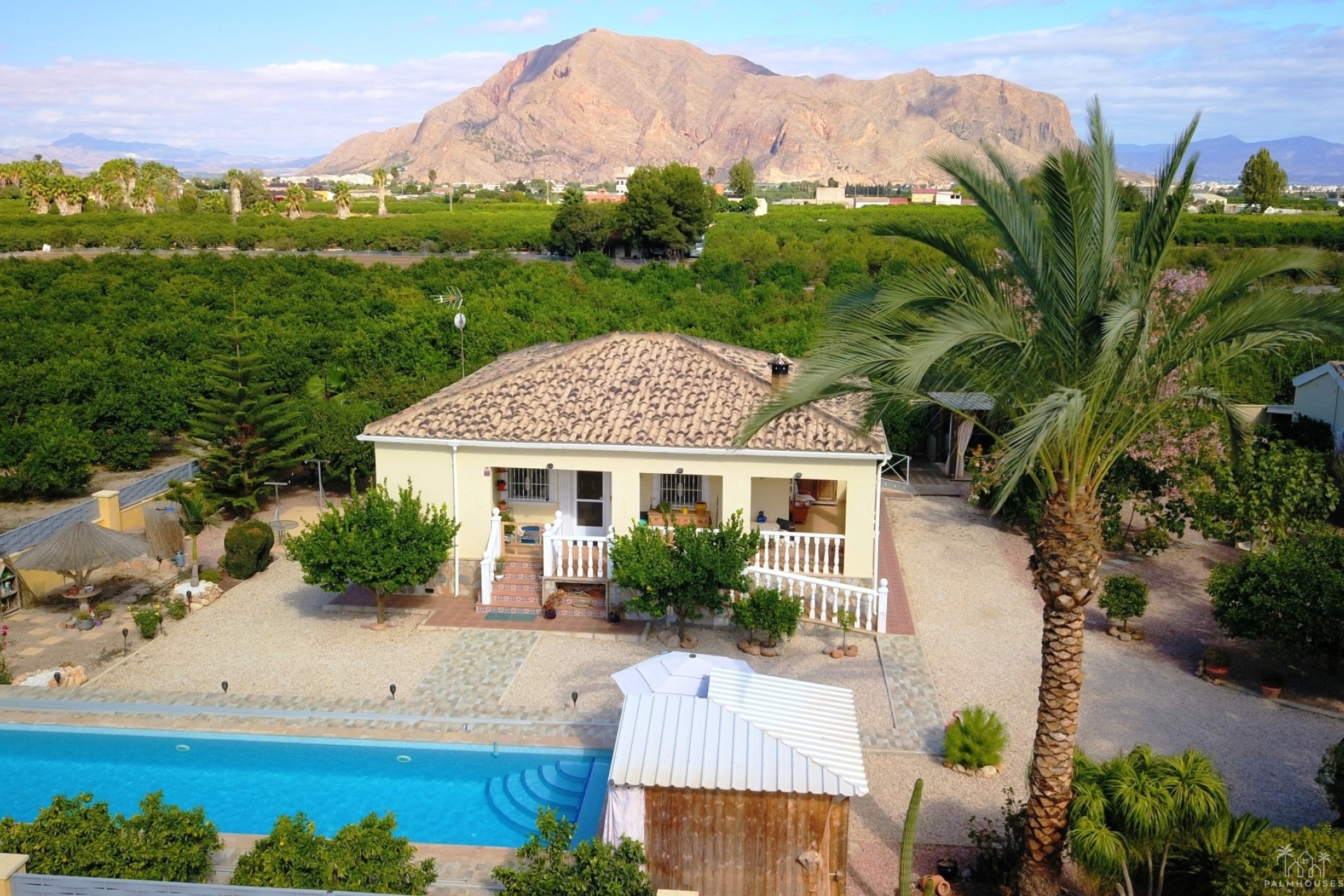 Venta - Finca - Orihuela - La Campaneta