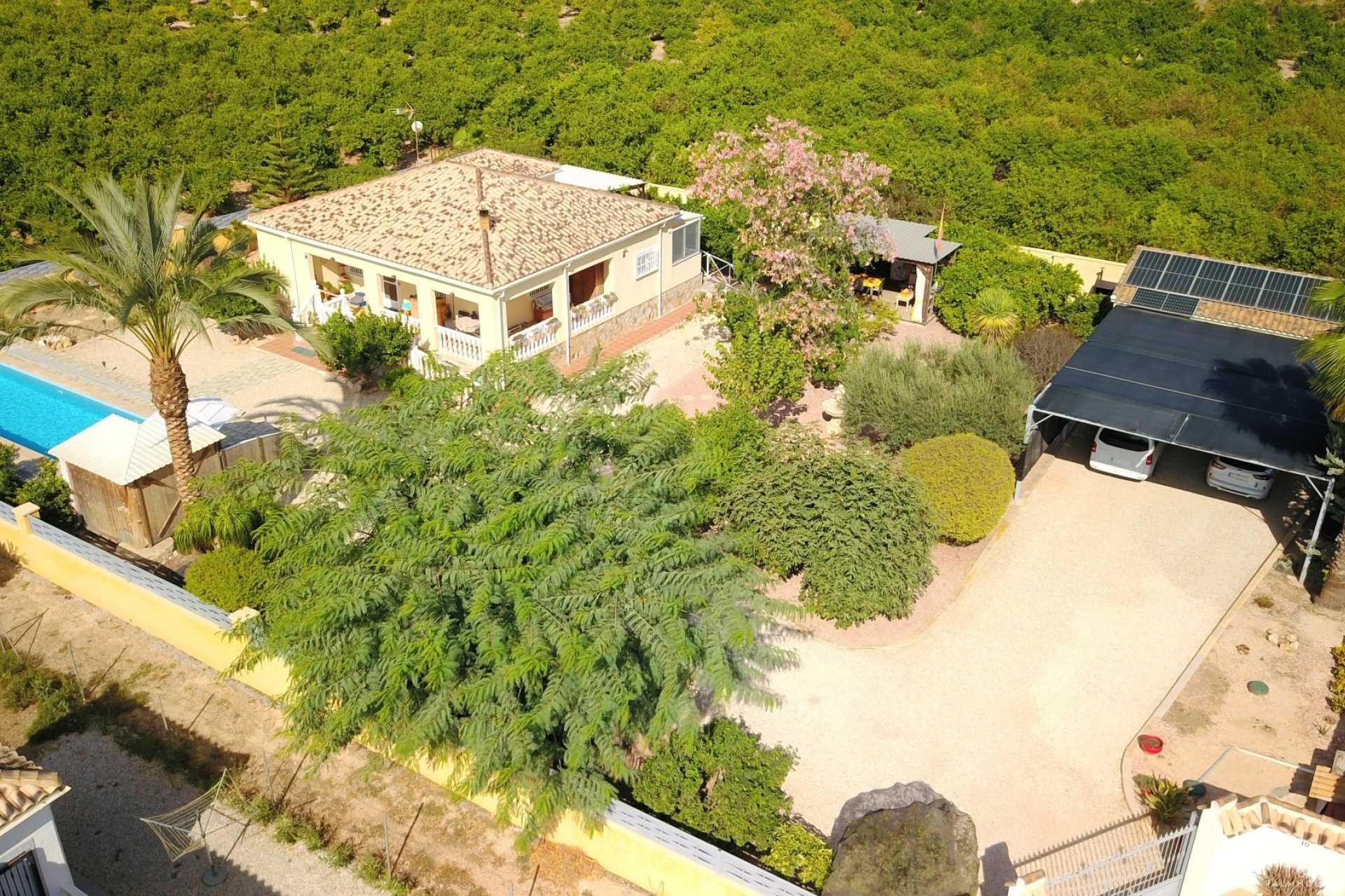 Venta - Finca - Orihuela - La Campaneta