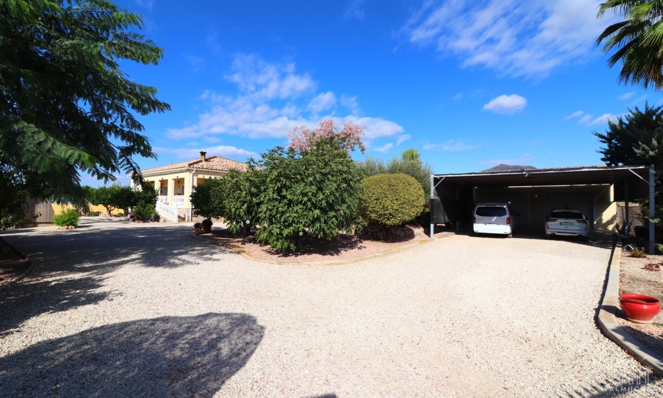 Venta - Finca - Orihuela - La Campaneta