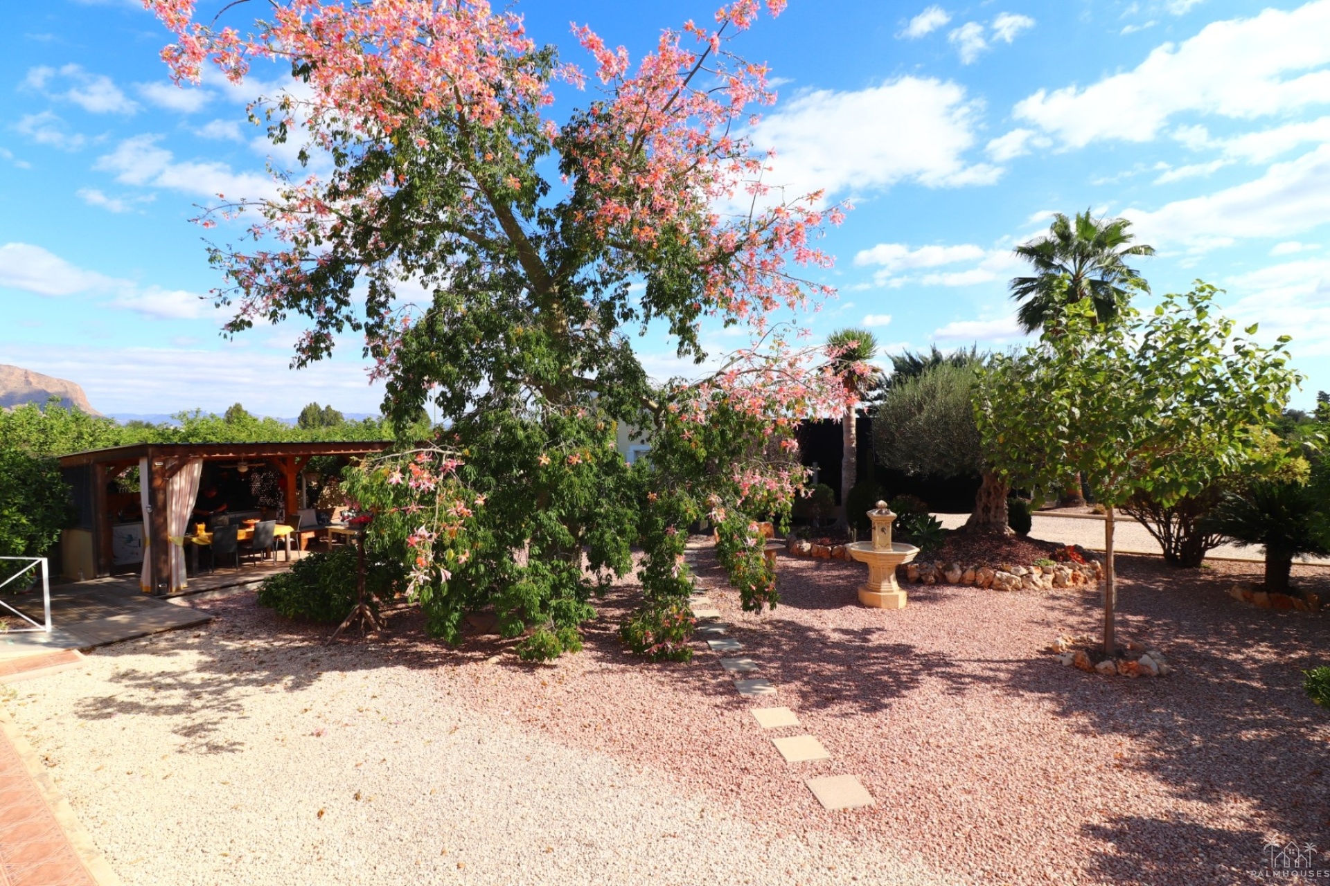 Venta - Finca - Orihuela - La Campaneta