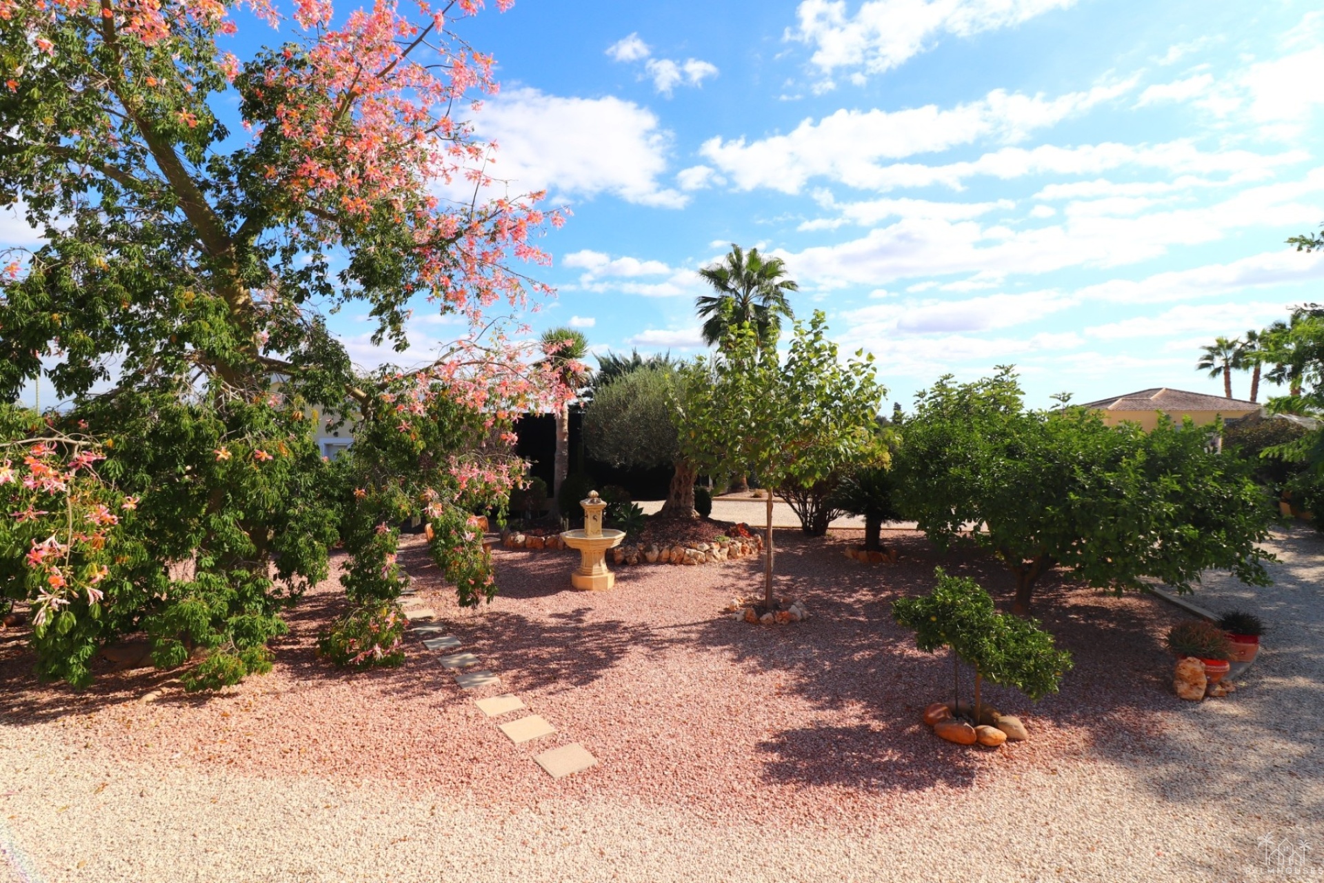 Venta - Finca - Orihuela - La Campaneta