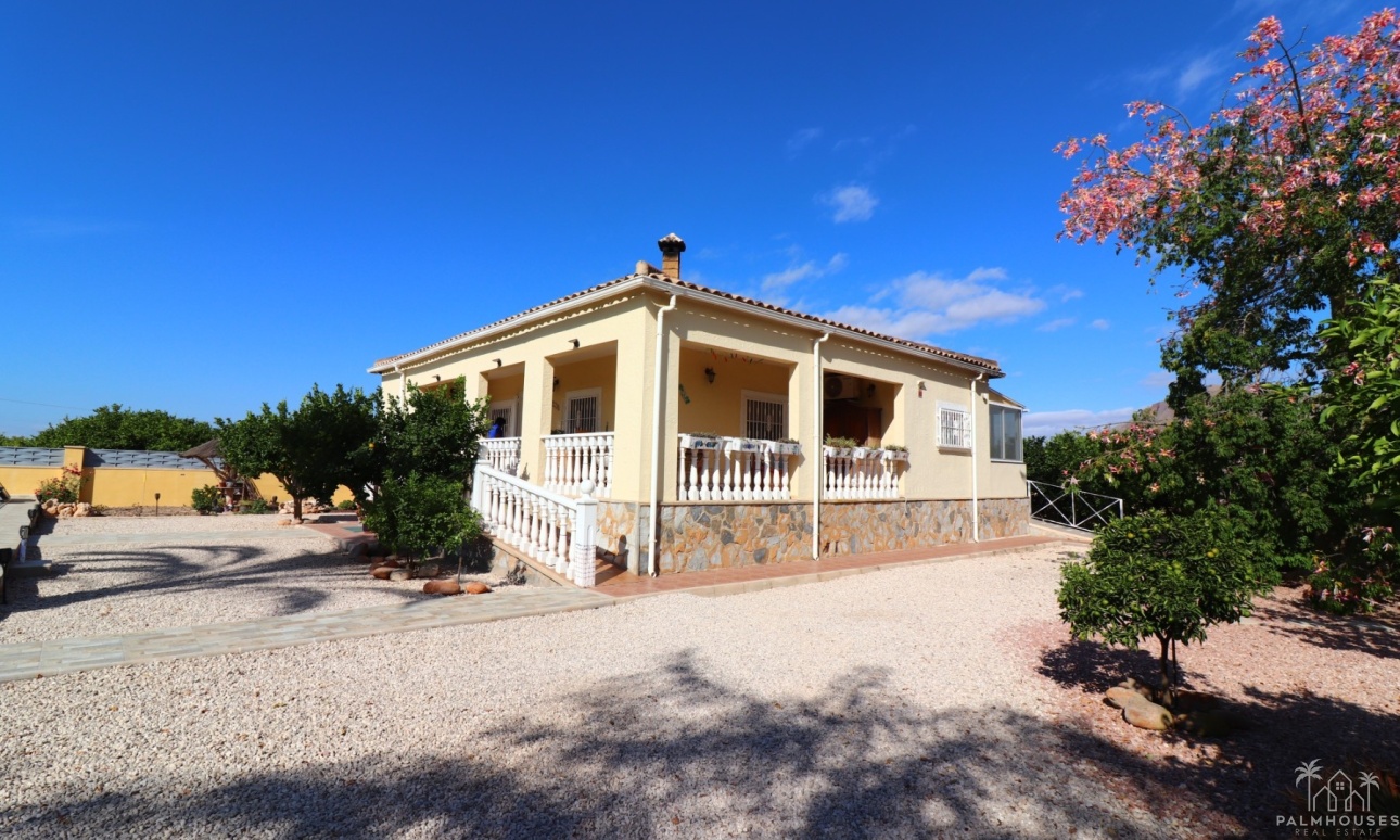 Venta - Finca - Orihuela - La Campaneta