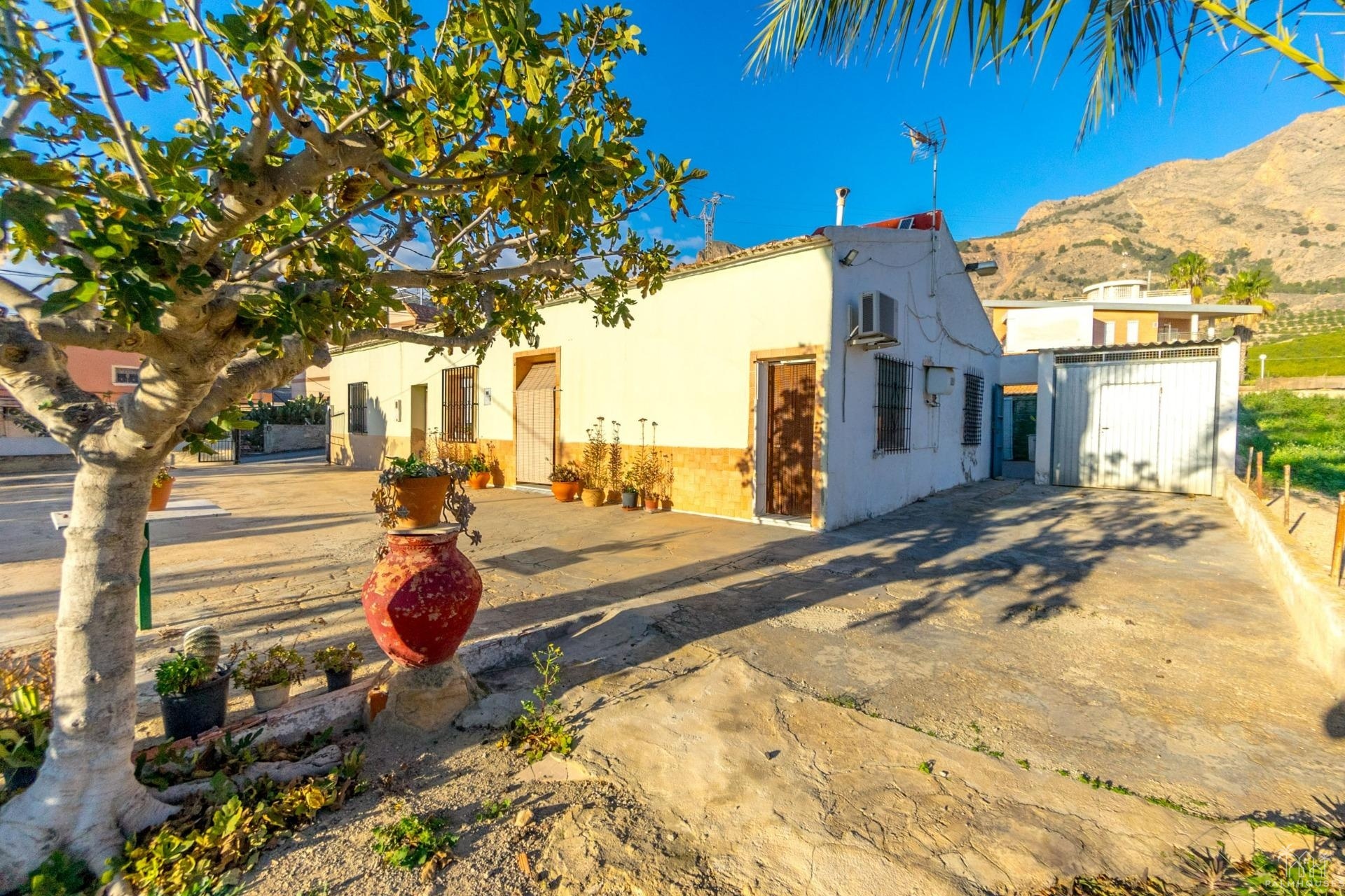 Venta - Finca - Orihuela - Raiguero De Bonanza
