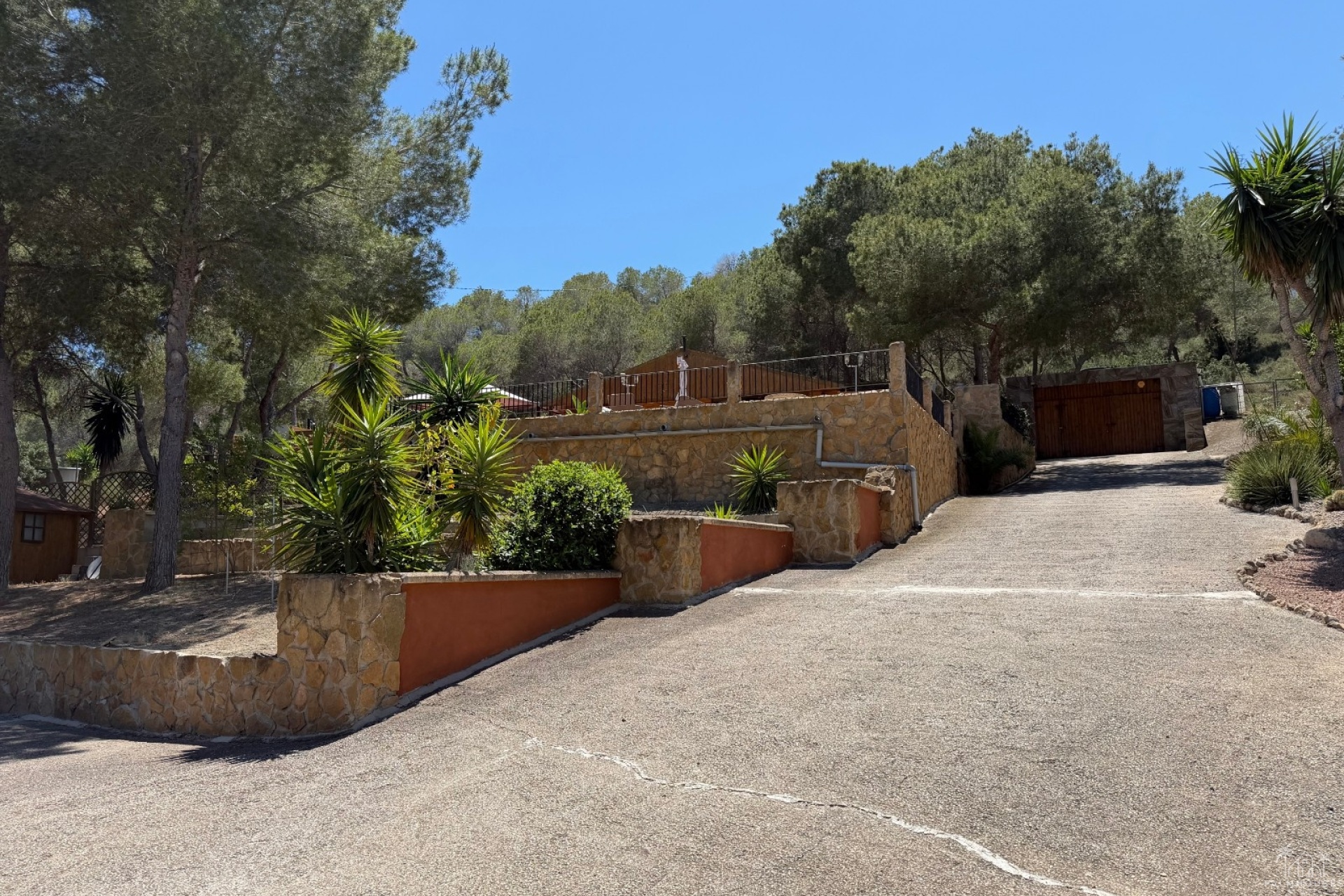 Venta - Finca - Orihuela - Torremendo