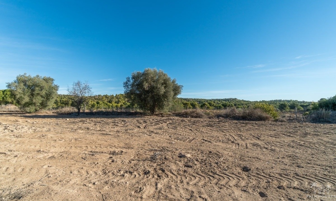 Venta - Finca - Pilar de La Horadada - Pinar de la Perdiz