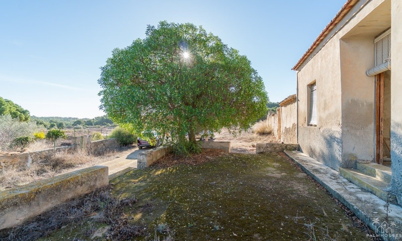 Venta - Finca - Pilar de La Horadada - Pinar de la Perdiz