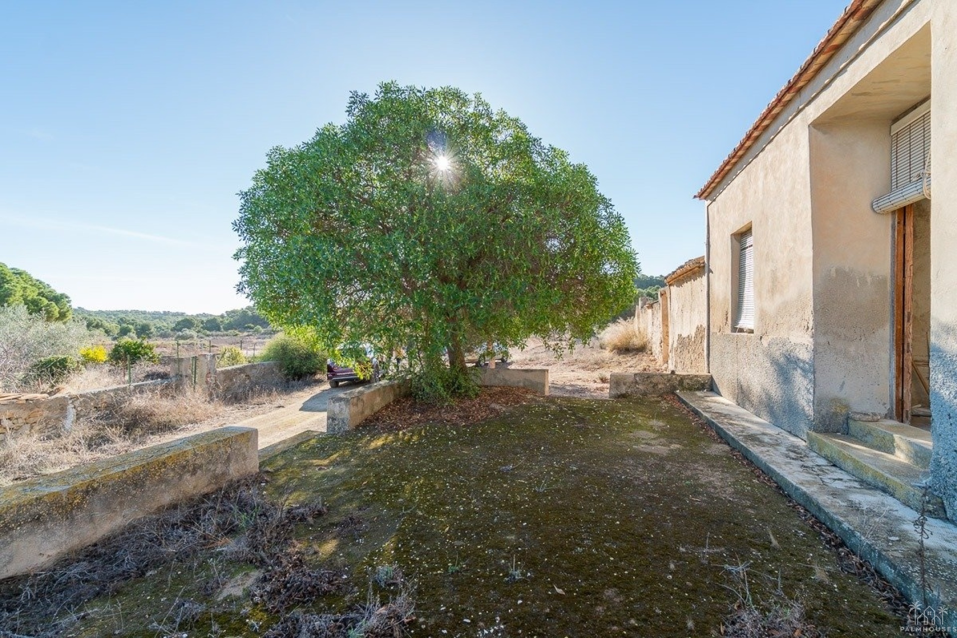 Venta - Finca - Pilar de La Horadada - Pinar de la Perdiz